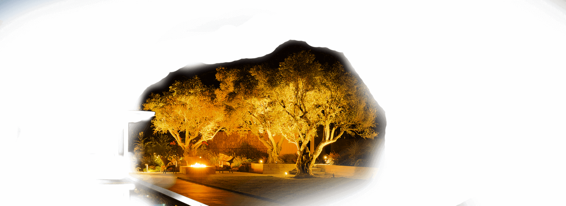FX Luminaire